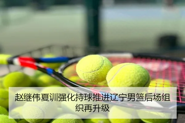 赵继伟夏训强化持球推进辽宁男篮后场组织再升级