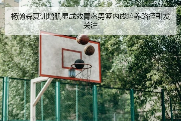 杨瀚森夏训增肌显成效青岛男篮内线培养路径引发关注