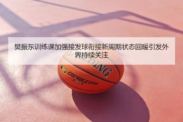 樊振东训练课加强接发球衔接新周期状态回暖引发外界持续关注